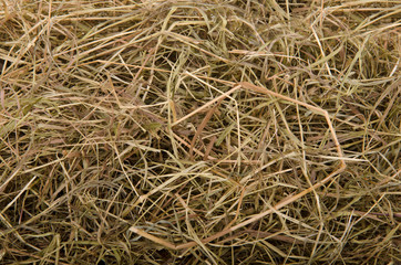 Hay, background