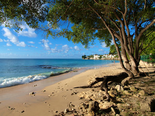 Barbados beach hut