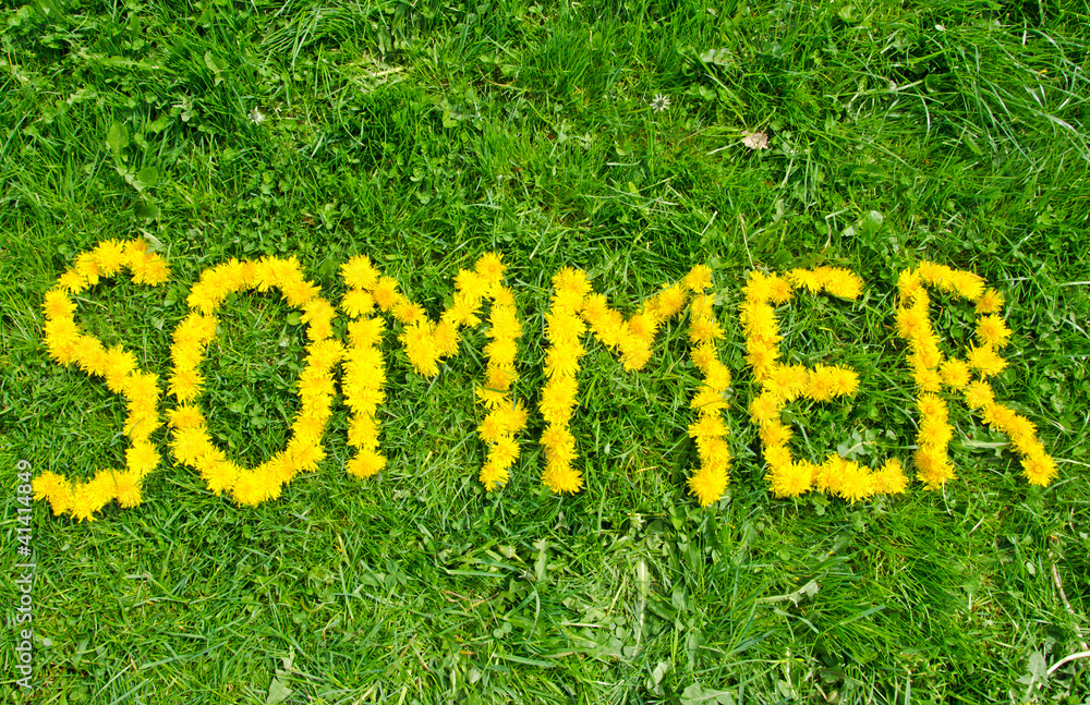 Wall mural das wort sommer mit blüten (löwenzahn) auf einer grünen wiese geschrieben