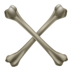 Two realistic crossbone