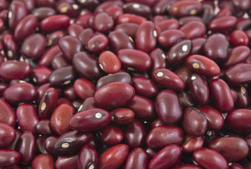 close up of pile of red kidney bean seeds
