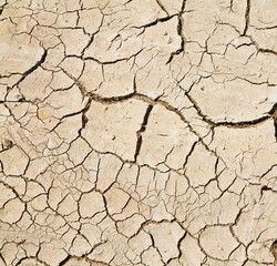 cracked clay ground