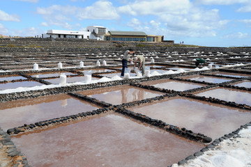 Bassin de cristallisation (tajos), Salinas del Carmen, île de F