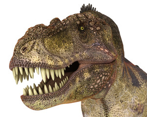 Obraz premium t rex staring