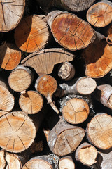 Cross section of the timber