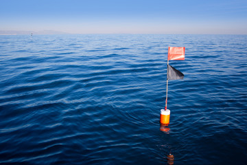 Longliner and trammel net buoy with flag pole