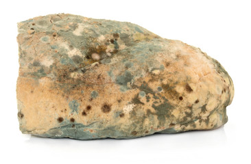Mould on Bread