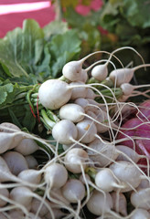 white turnips