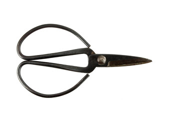 Old scissors on white background