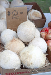 white coconuts