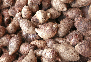 taro