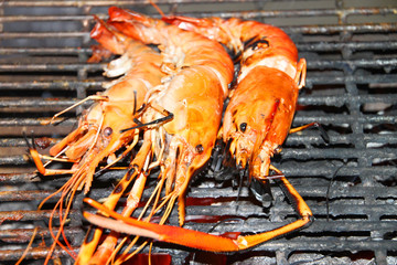 Grilled shrimps