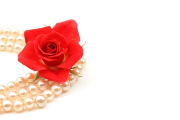 赤いミニバラと真珠