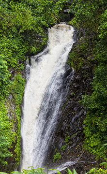 Gitgit Waterfall is a beautiful waterfall of Bali