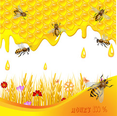 Floral background with honey and bees