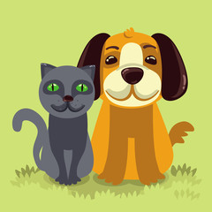 friendly dog and cat on green grass