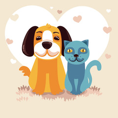 friendly dog and cat