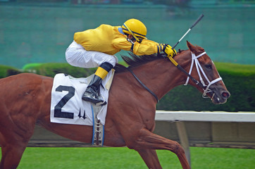Horse and Rider