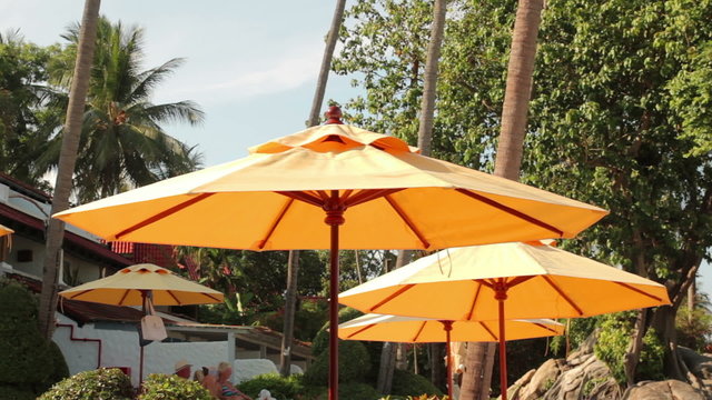 orange umbrella's