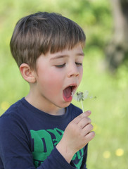 Boy blowing a dandelion seedhead