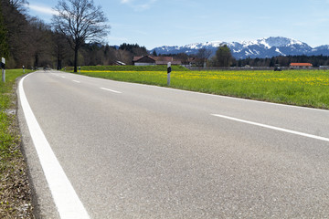 Fototapeta premium Landstraße mit Frühlingswiese und Alpen, Bayern