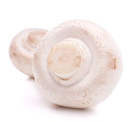 Champignon mushroom