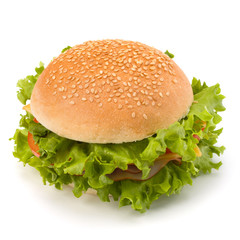 Junk food hamburger