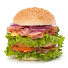 Junk food hamburger