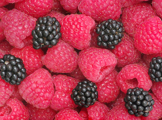 raspberry background