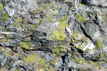 Rochers et lichens