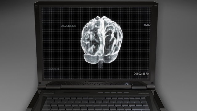 computer calculation white brain with timecode
