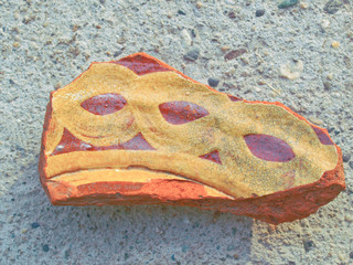 Sherd picture