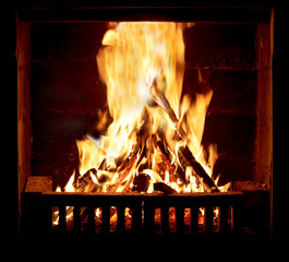 Burning fire in the fireplace