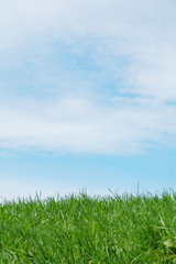 草原と空