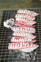 Grilled squids