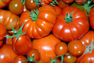 Amoncellement de tomates