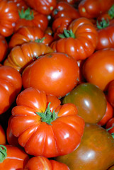Amncellement de tomates
