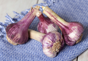 Fresh Garlic