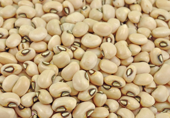 close up of pile of seeds of black eyed pea