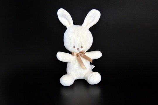 Stuffed rabbit