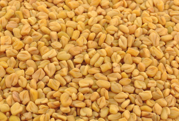extreme close up of fenugreek seeds