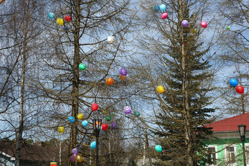 Воздушные шарики застряли в ветках деревьев © muhor