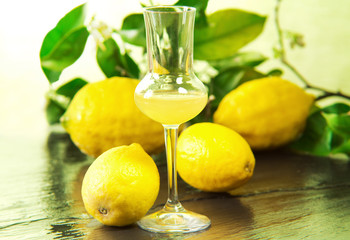 limoncello glass with fresh lemons