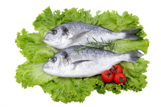 Pesce File