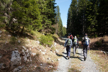 group mountaineers hiking in the forest