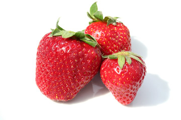 tre fragole_sfondo bianco
