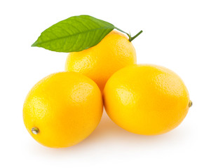 fresh lemons