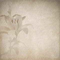 lily retro design