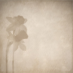 daffodils retro design