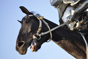 horse and knight